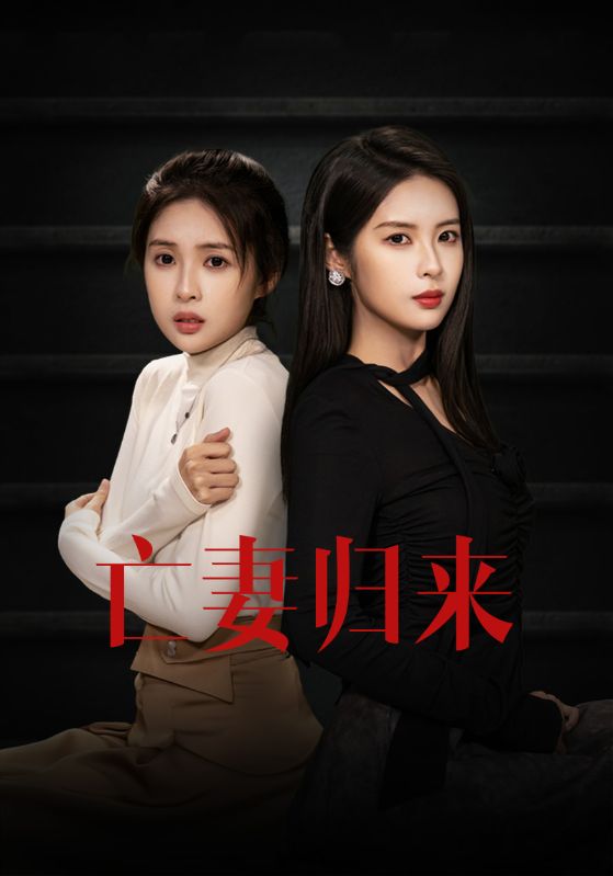 亡妻归来封面图