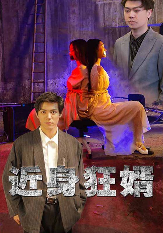 近身狂婿封面图