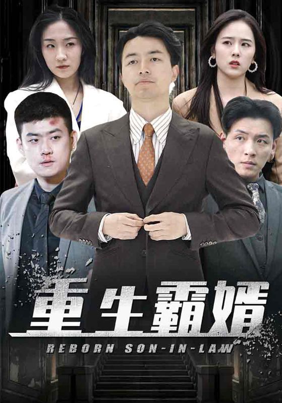 重生霸婿封面图