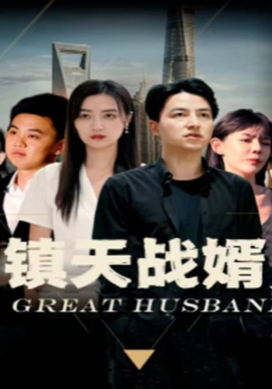 镇天战婿封面图