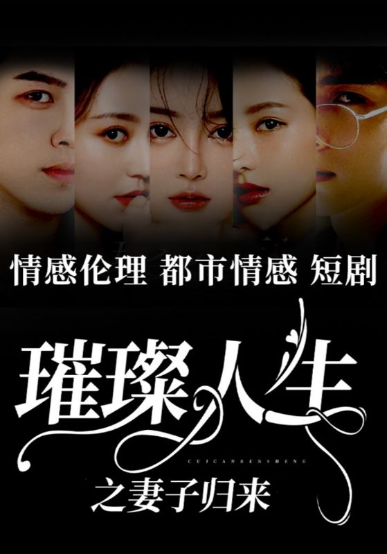 璀璨人生之妻子归来封面图