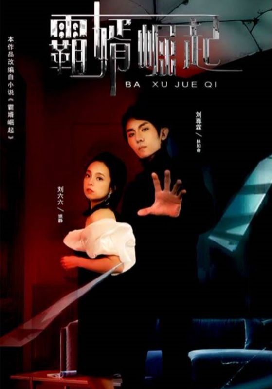 霸婿崛起封面图