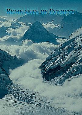 残余的圣火:96珠峰惨案封面图