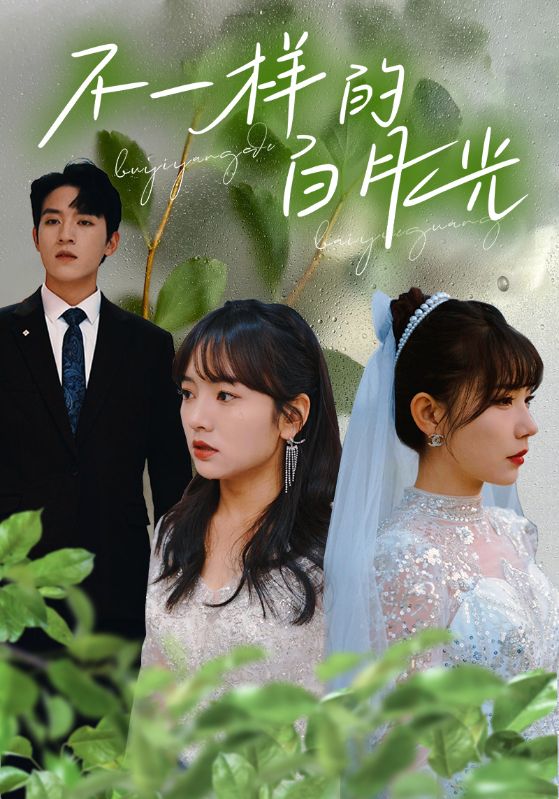 她才是总裁的白月光封面图