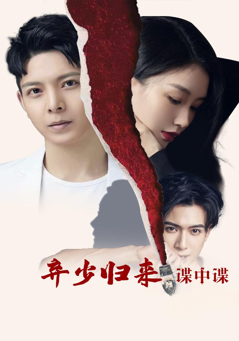 弃少归来谍中谍封面图