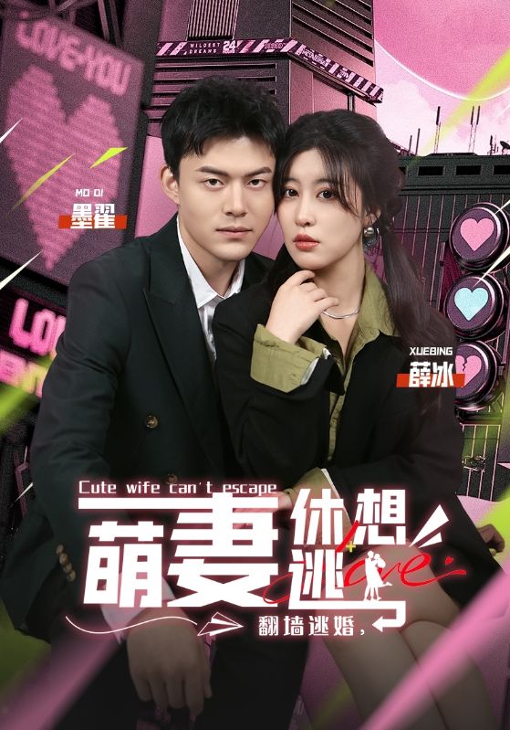 翻墙逃婚，萌妻休想逃封面图