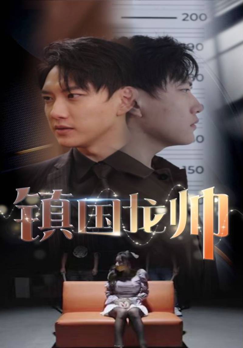 镇国龙帅封面图