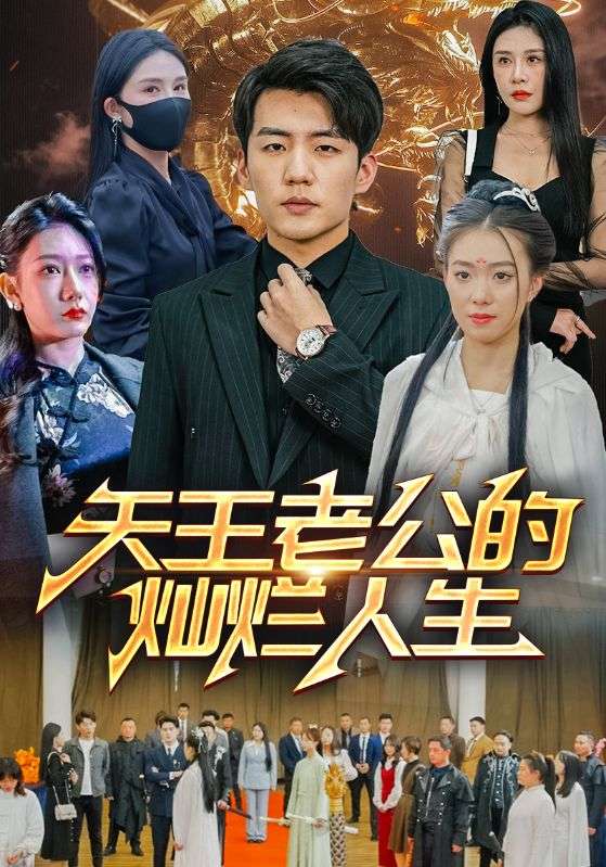 女总裁的天王老公封面图