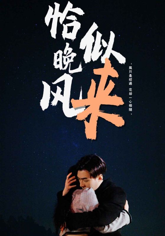 恰似晚风来封面图