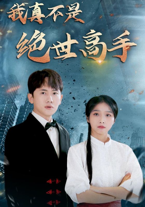 我真不是绝世高手封面图
