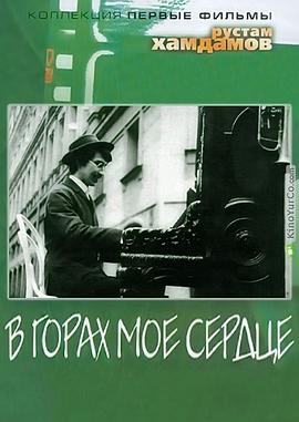 心向高地封面图