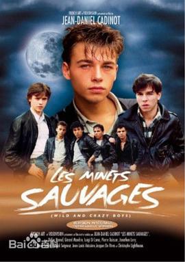 流浪爱侣封面图