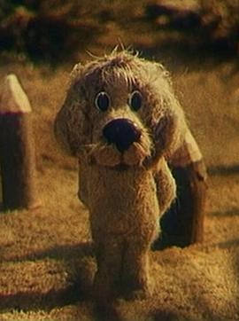 关于小狗封面图