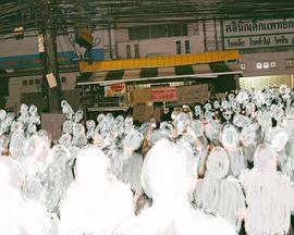 仍在我心封面图