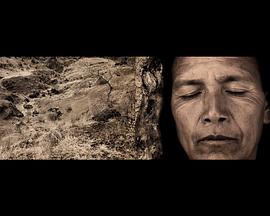 生命之樹封面图