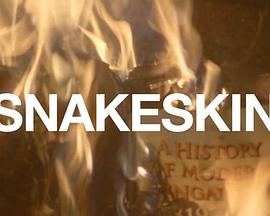 蛇皮封面图