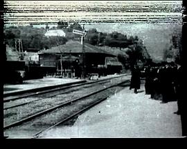 真假护照封面图