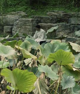 扭曲词场封面图