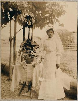 摘取一朵花封面图