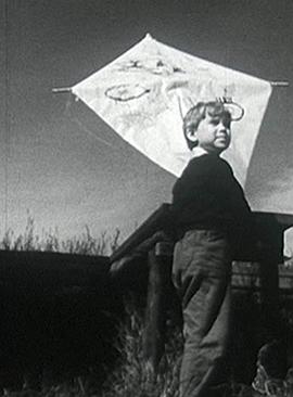 男孩与风筝封面图