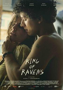 城市上空的乌鸦封面图