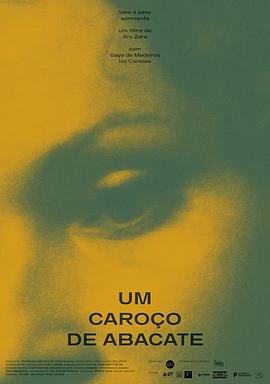 牛油果核封面图