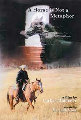 马非隐喻封面图