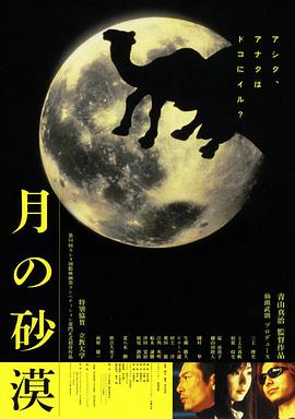 沙漠中的月亮封面图