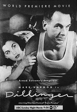 大盗狄林杰封面图