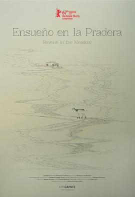 草原上的遐想封面图