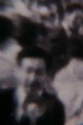 SWITCH BACK封面图