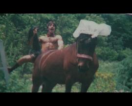 生贄の女たち封面图