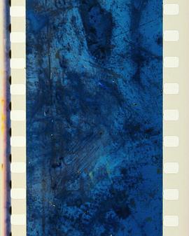 Sound of a Million Insects, Light of a Thousand Stars封面图