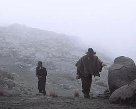 宁静之风封面图