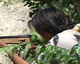 少年那霸士封面图