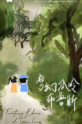 梦幻瓜岭布鲁斯封面图