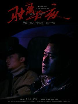 驶离长夜封面图