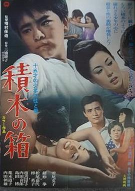 积木之箱封面图