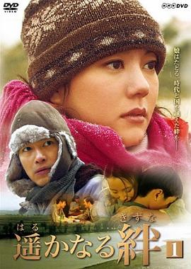 遥远的羁绊封面图