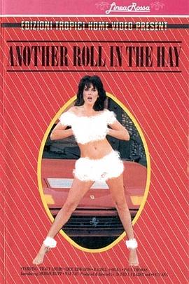 干草堆的另一头封面图