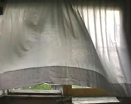 Solar Breath封面图