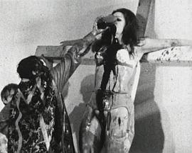 Maria-Empfängnis-Aktion Hermann Nitsch封面图