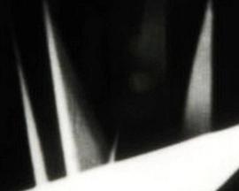 Rhythm in Light封面图