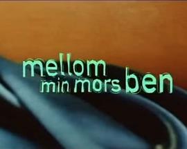 Mellom min mors ben封面图