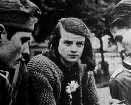 同根相连封面图