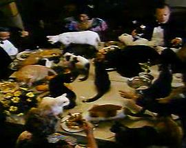 America Exposed封面图