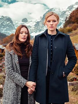 峡谷迷案封面图