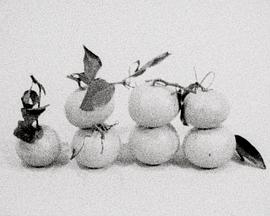 没法满足你的地方封面图