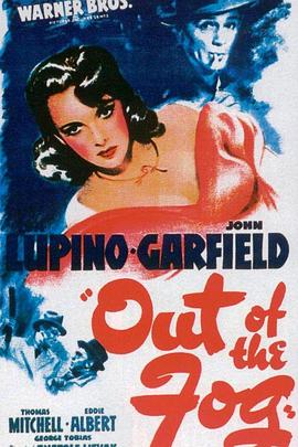 雾中来客封面图