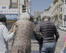 上海来的女士封面图